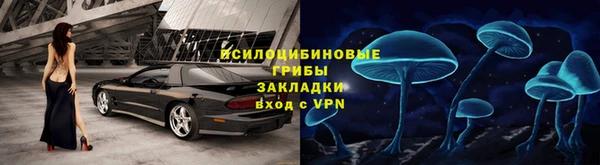 эйфоретик Новокубанск