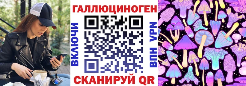 MEGA ТОР  Усмань  Галлюциногенные грибы мицелий 
